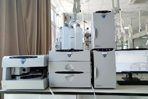 97622��������Ʒ��(�й���)-�ٷ���վ