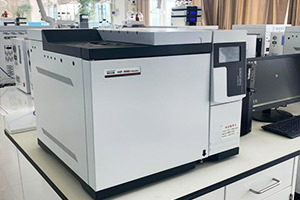 97622��������Ʒ��(�й���)-�ٷ���վ