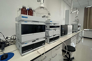 97622��������Ʒ��(�й���)-�ٷ���վ