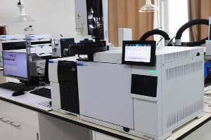 97622��������Ʒ��(�й���)-�ٷ���վ